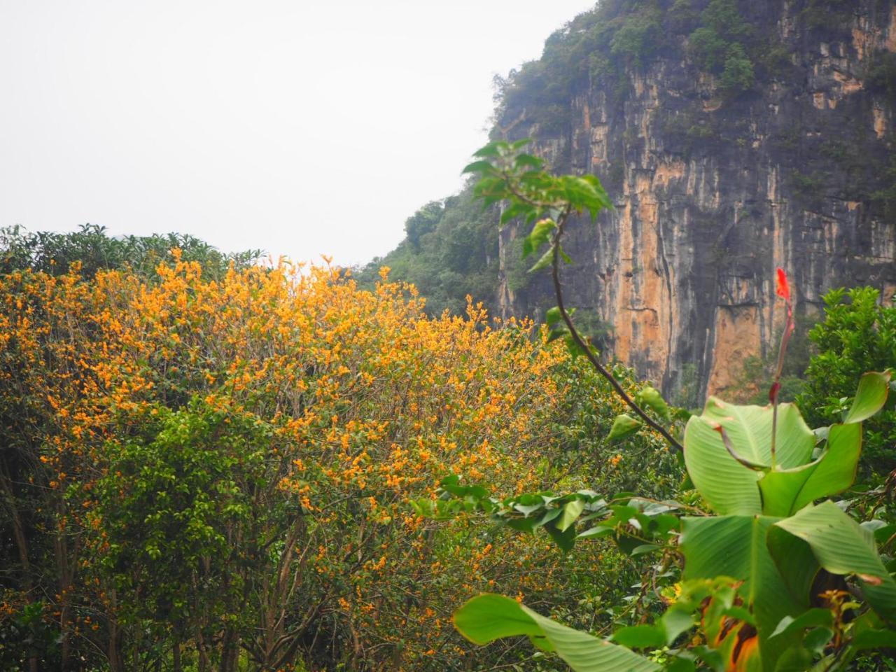 Yangshuo Moon Resort Hotel Guilin Luaran gambar